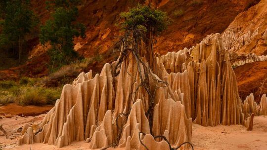 Voyage à Madagascar : 4 merveilles naturelles incontournables