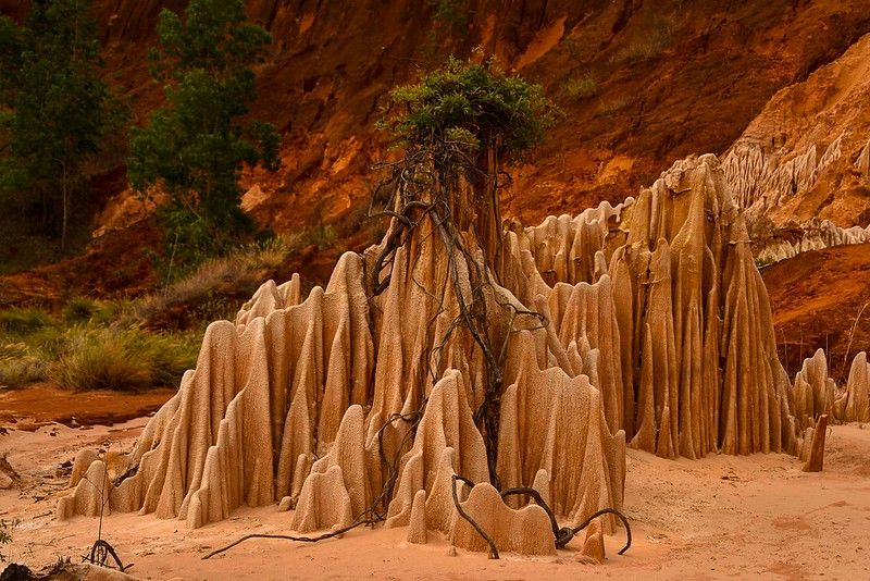 Voyage à Madagascar : 4 merveilles naturelles incontournables