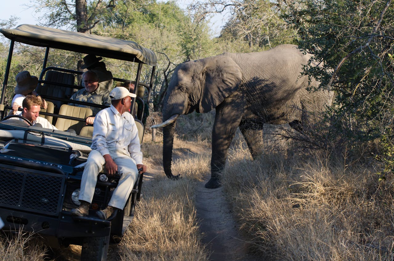 Voyage en Afrique du Sud : 2 conseils pour l'organiser
