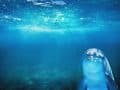 Un face-à-face avec les dauphins près de Nice
